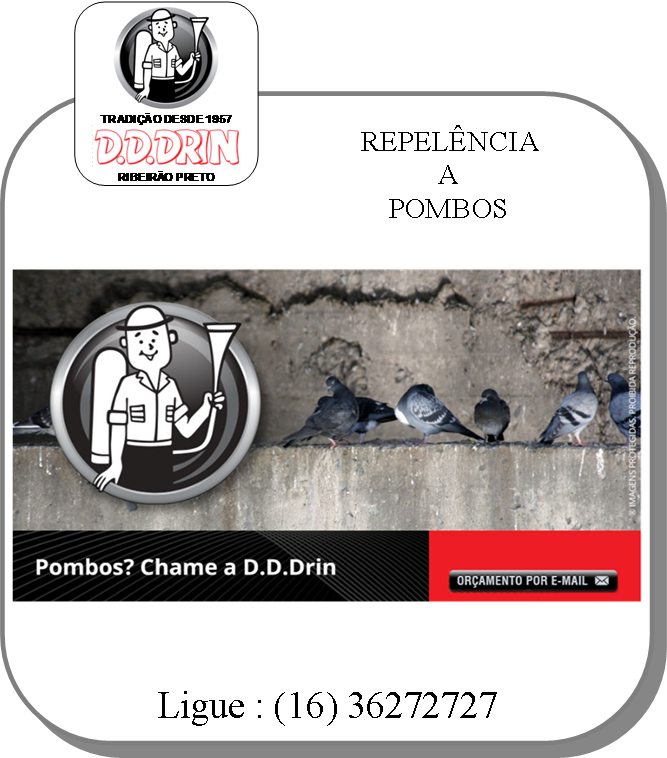 dedetização e desratização de pragas em Ribeirão Preto