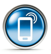 dedetização e desratização de pragas em Ribeirão Preto